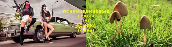 гидропоника Верея
