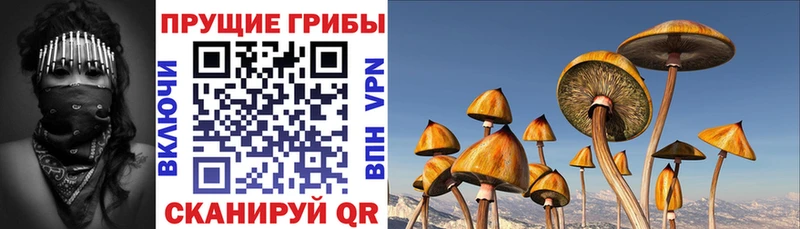 Псилоцибиновые грибы ЛСД  blacksprut сайт  Десногорск 